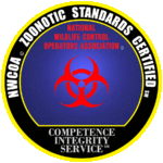 0A63313E-9385-4899-842D-AC42BDBF9329-1